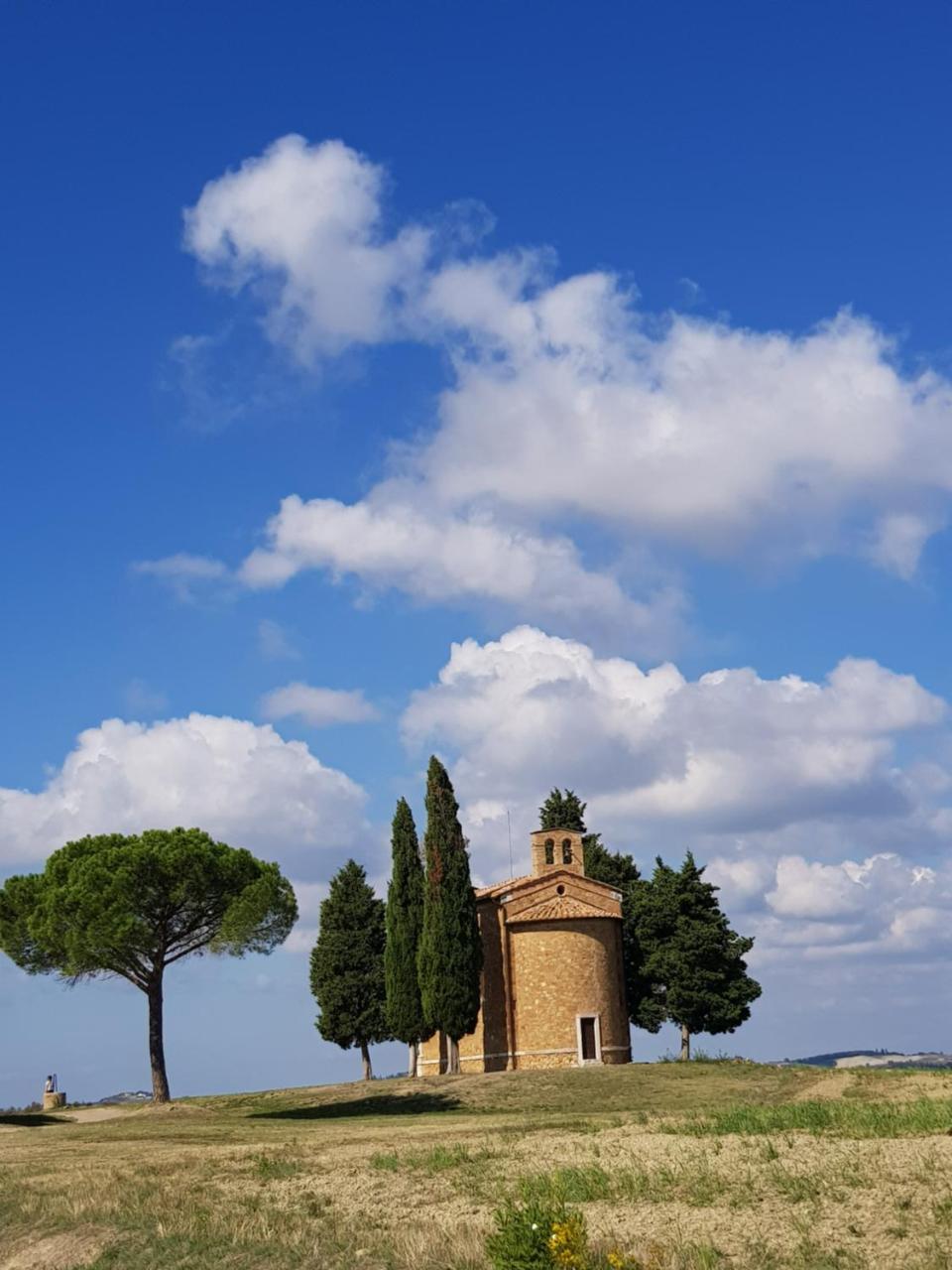 Montefollonico B&B Il Glicine מראה חיצוני תמונה