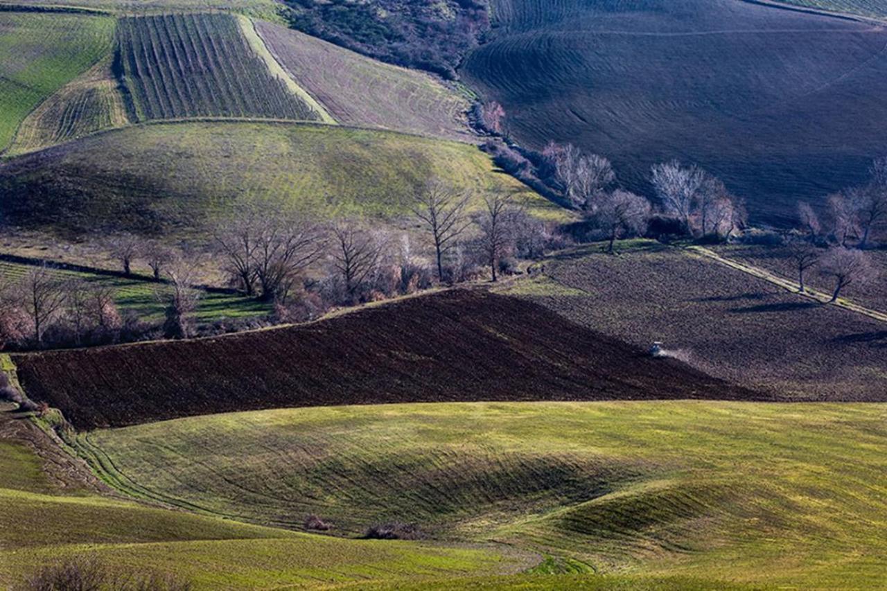 Montefollonico B&B Il Glicine מראה חיצוני תמונה