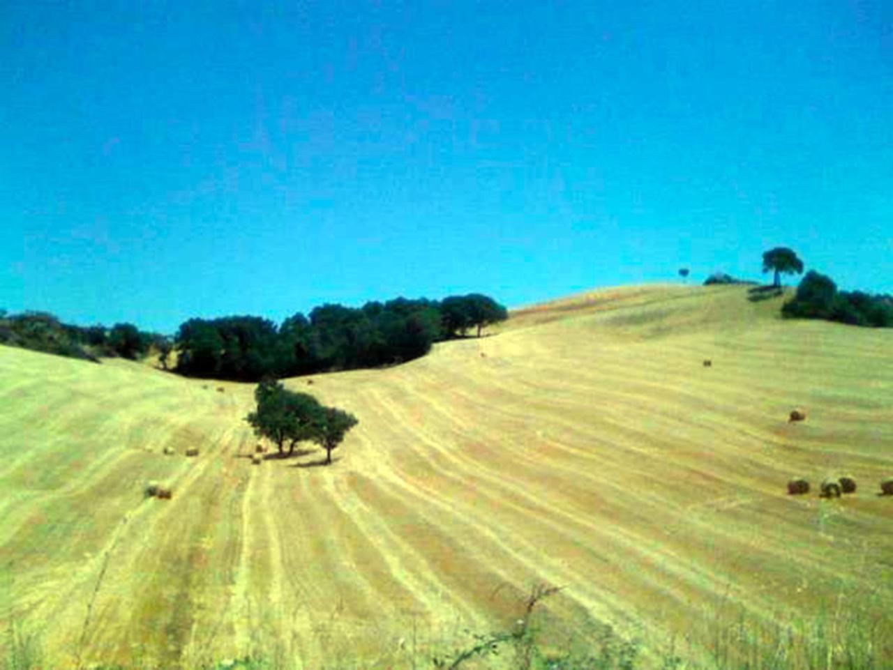Montefollonico B&B Il Glicine מראה חיצוני תמונה