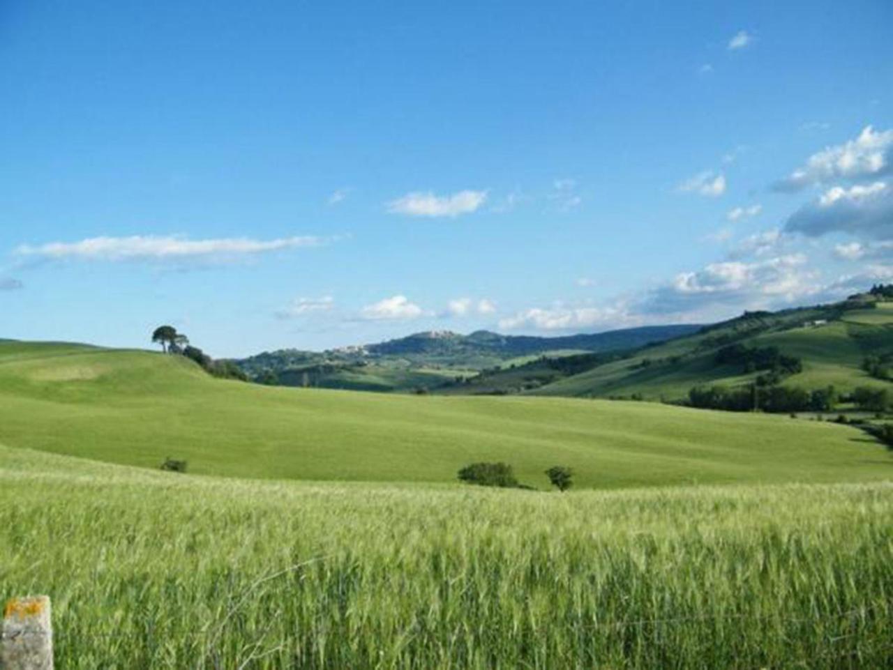 Montefollonico B&B Il Glicine מראה חיצוני תמונה