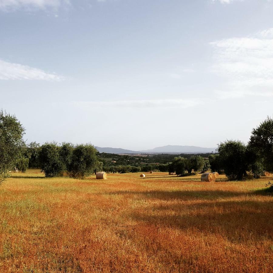 Montefollonico B&B Il Glicine מראה חיצוני תמונה