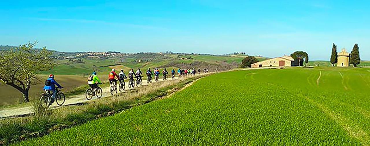 Montefollonico B&B Il Glicine מראה חיצוני תמונה